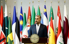 امیرعبداللهیان: آمریکا و متحدانش اصلی‌ترین مانع توقف جنایات صهیونیست‌ها هستند
