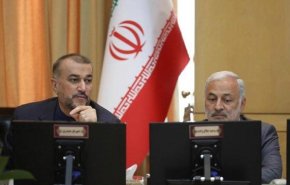 امیرعبداللهیان آلودگی ناشی از نیروگاه متسامور ارمنستان را منتفی خواند