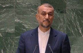 امیرعبداللهیان در نیویورک و انتقاد از عجز شورای امنیت
