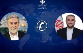 رایزنی تلفنی وزیر خارجه با زیاد نخاله
