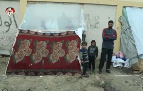 سختی های آوارگان و ساکنان رفح از دریچه دوربین العالم + فیلم 