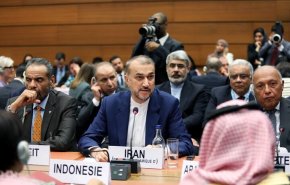 ما هي تحفظات ايران على بيان الاجتماع الوزاري لجدة بشأن فلسطين؟