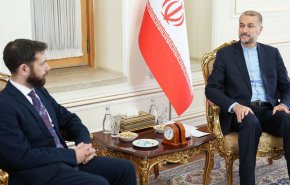 دیدار معاون وزیر امور خارجه ارمنستان با امیرعبداللهیان