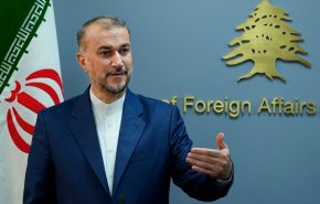 امیرعبداللهیان: مقابله با اسلام هراسی، تلاش جمعی امت اسلامی است
