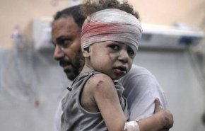 شمار شهدای غزه از 31 هزار و 500 نفر گذشت