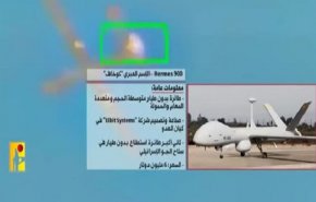 صحنه شکار پهپاد رژیم صهیونیستی به دست مقاومت لبنان
