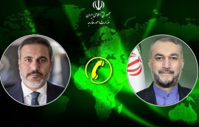 بررسی تحولات منطقه در گفت‌وگوی امیرعبداللهیان و فیدان
