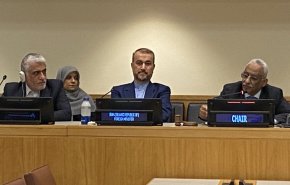 واکنش وزیر خارجه ایران به ساقط شدن چند ریز پرنده توسط پدافند هوایی ایران در اصفهان
