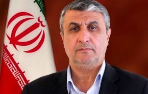 ۱۳۰ بازرس آژانس مجاز به حضور در ایران هستند