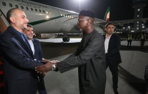 امیرعبداللهیان برای شرکت در نشست سازمان همکاری اسلامی وارد گامبیا شد
