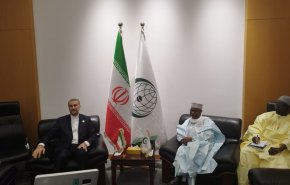دیدار امیرعبداللهیان با دبیرکل سازمان همکاری اسلامی
