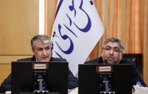 گزارش رئیس سازمان انرژی اتمی به کمیسیون امنیت ملی
