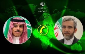 گفتگوی تلفنی علی باقری با وزیر خارجه عربستان درباره مراسم حج و تحولات غزه