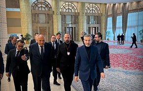 گفت‌وگوی باقری و شکری درباره روابط تهران و قاهره