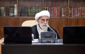 جرات نمی‌کنند به شورای نگهبان فشار بیاورند
