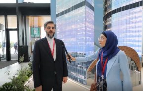 کشورهای بریکس علاقمند هستند صدای مستقلی در عرصه بین المللی داشته باشند 