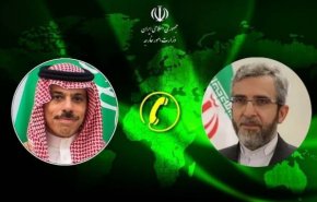 گفت و گوی تلفنی باقری با وزیر خارجه عربستان درباره برگزاری حج
