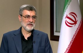 قاضی زاده هاشمی:‌ پیشنهاد جمهوری اسلامی دمکراتیک‌ترین پیشنهاد درباره قضیه فلسطین است 