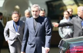 علی باقری: از ظرفیت شورای امنیت برای دفاع از حق و مواضع ملت فلسطین استفاده می‌کنیم