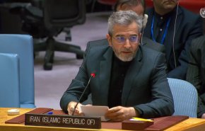 باقری: رویکرد سیاست خارجی دولت جدید ایران تقویت چندجانبه‌گرایی است
