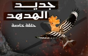 عملیات جدید 
