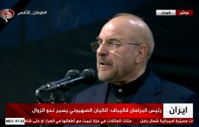 قالیباف در تشییع هنیه: رژیم اسرائیل هزینه سنگینی برای شبیخون درحریم ایران خواهد پرداخت
