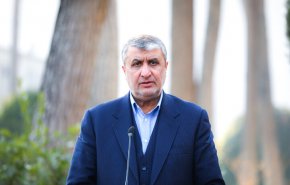 اسلامی: برنامه پنهانی هسته‌ای نداریم
