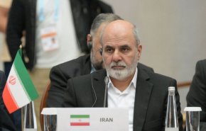 احمدیان در جمع مقامات کشورهای جنوب: جهان نیازمند طرح نو در حوزه امنیت است
