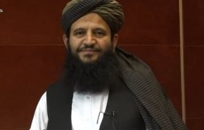 عذرخواهی نماینده جنجالی طالبان از ملت ایران
