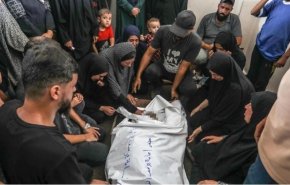 شمار شهدای نوار غزه به ۴۱ هزار و ۴۳۱ نفر رسید
