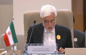 عارف: راهکار پیشنهادی ایران برگزاری همه‌پرسی در میان تمام فلسطینیان است
