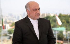 امانی: پیامدهای حوادث کنونی سوریه، به دشمنان دمشق پیش از دوستان آن خواهد رسید
