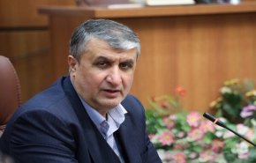 اسلامی: غرب با اسد به دلیل همراهی وی با انقلاب اسلامی مشکل داشت
