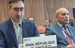 ایران خواستار آتش‌بس دائمی و حمایت اقتصادی از فلسطینیان شد
