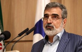 کمالوندی: هیچ کشوری به اندازه ایران تحت نظارت آژانس نیست