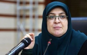 سخنگوی دولت: مذاکره مطلوب ایران، گفت‌وگوی دقیق و بدون هیاهو است