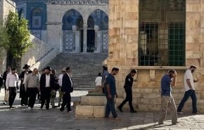 واکنش ها به هتک حرمت بن گویر به مسجد الاقصی 