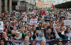 برگزاری ۱۰۵ تظاهرات در ۵۸ شهر مغرب در حمایت از غزه