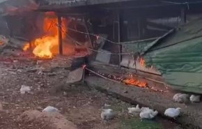 اسرائیل صاحب یک مرغداری را در لبنان به شهادت رساند
