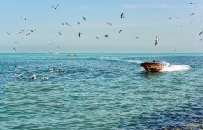 خلیج فارس، پاره تن ایران است