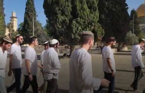 هتک حرمت مسجد الاقصی؛ رقص و پایکوبی صهیونیست ها در صحن براق