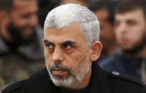 جایزه «کوآمی تور» به خانواده شهید «یحیی سنوار» اهدا شد