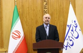 رئیس مجلس : سیاست‌های آمریکا در اجلاس بریکس به چالش کشیده شد
