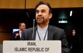نجفی: اقدامات ایران در واکنش به قطعنامه آژانس بسیار قوی خواهد بود
