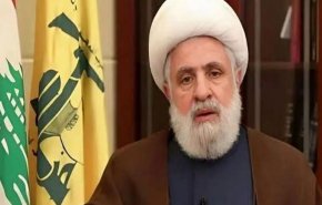 دبیرکل حزب الله: تا لحظه آتش بس ثابت قدم ماندیم و به دشمن ضربه زدیم