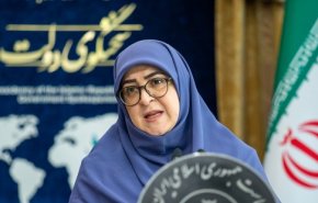 مهاجرانی: در عین بی‌اطمینانی به مذاکرات، مسیر مذاکرات را ترک نمی‌کنیم