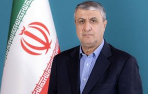 اسلامی: پیشرفت برنامه هسته‌ای ایران ادامه خواهد داشت
