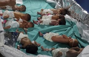 اذعان صهیونیست‌ها به جنایت تلخ خود علیه نوزادان فلسطینی
