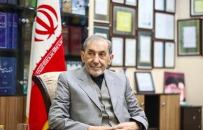 ولایتی: غنی‌سازی خط قرمز ایران است