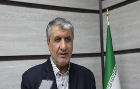 رئيس منظمة الطاقة الذرية الايرانية يوضح الخطط لمواصلة الانشطة النووية